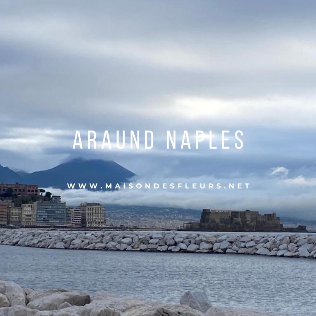 Maison Des Fleurs Napoli Eksteriør billede
